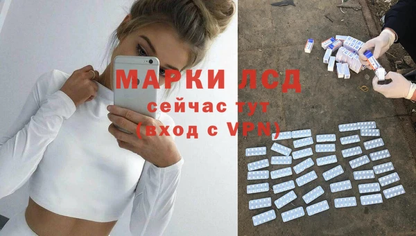 крисы Новодвинск
