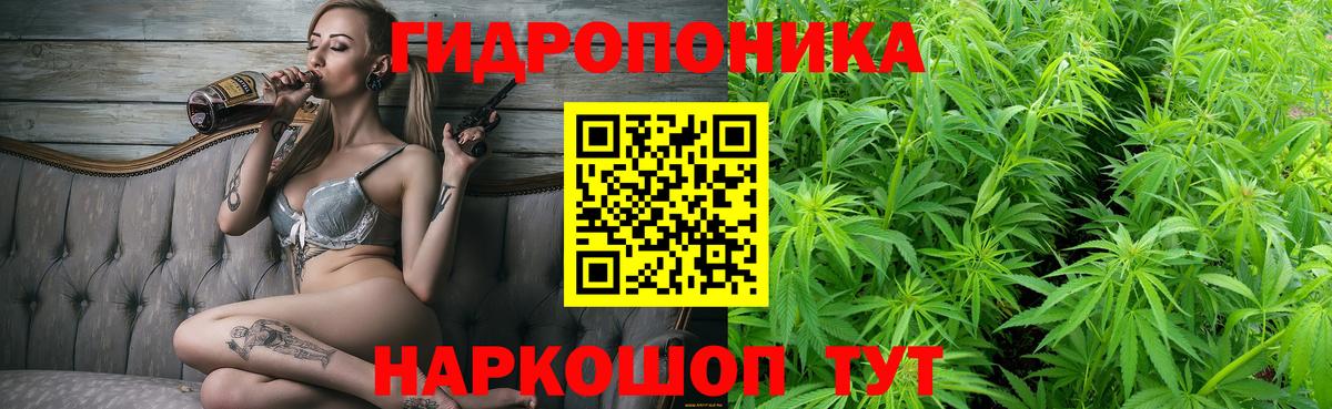 Конопля SATIVA & INDICA  Шишки марихуана White Widow  Вход с VPN  Бошки марихуана LSD WEED  Солнечногорск 